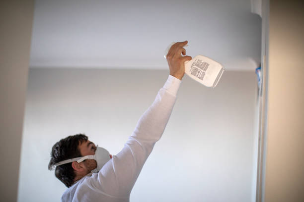 Best Professional Mold Removal  in Seagraves, TX